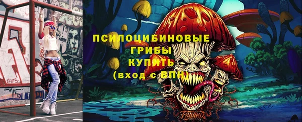 ешки Вяземский