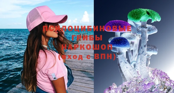 ешки Вяземский