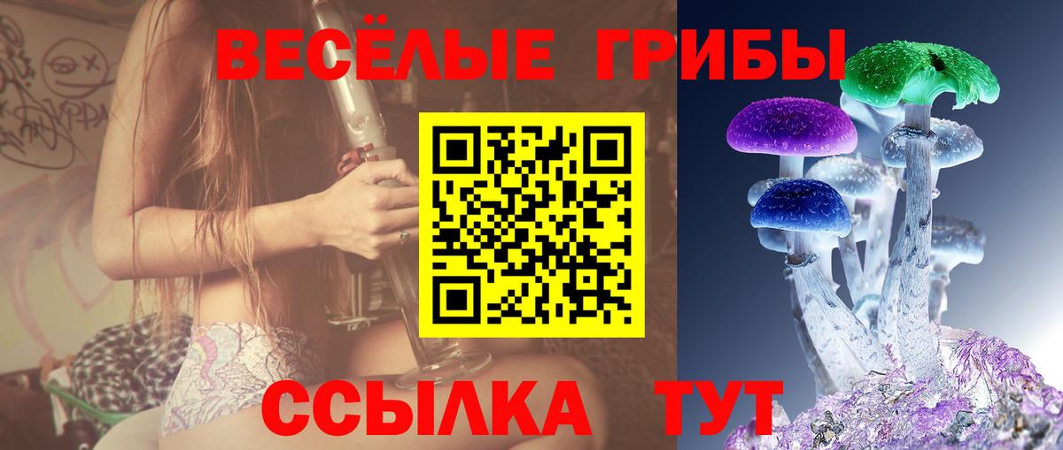 Осинники  Псилоцибиновые грибы GOLDEN TEACHER  Вход с VPN 