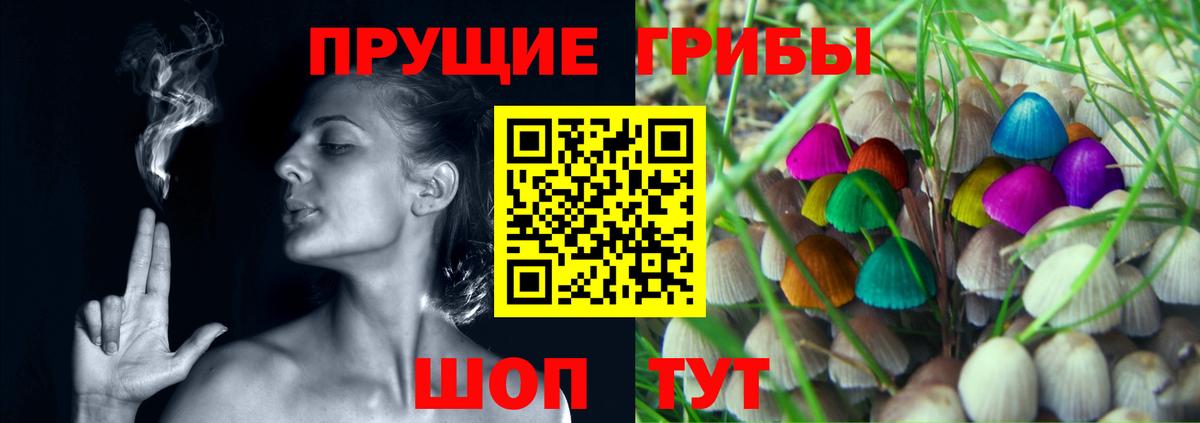 Псилоцибиновые грибы Psilocybe Осинники